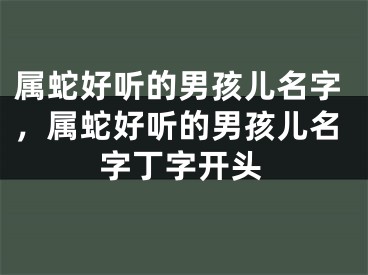 属蛇好听的男孩儿名字,属蛇好听的男孩儿名字丁字开头