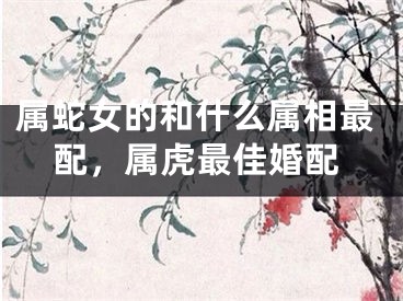 属蛇女的和什么属相最配,属虎最佳婚配