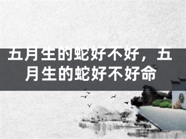 五月生的蛇好不好,五月生的蛇好不好命