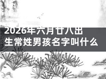 2026年六月廿八出生常姓男孩名字叫什么