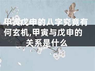 甲寅戊申的八字究竟有何玄机,甲寅与戊申的关系是什么