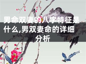 男命双妻的八字特征是什么,男双妻命的详细分析