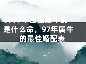 1997年出生属牛的是什么命，97年属牛的最佳婚配表