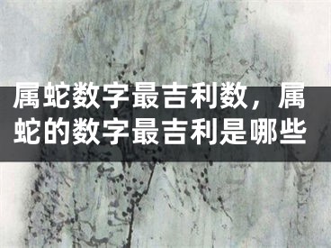 属蛇数字最吉利数,属蛇的数字最吉利是哪些