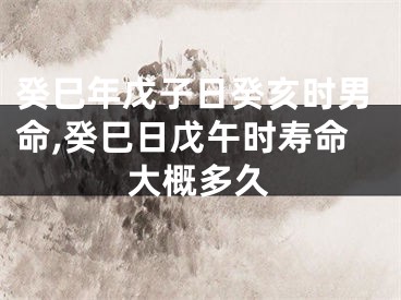 癸巳年戊子日癸亥时男命,癸巳日戊午时寿命大概多久