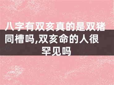 八字有双亥真的是双猪同槽吗,双亥命的人很罕见吗