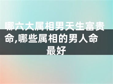 哪六大属相男天生富贵命,哪些属相的男人命最好