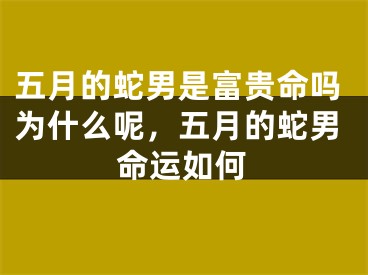 五月的蛇男是富贵命吗为什么呢，五月的蛇男命运如何