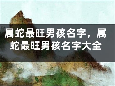 属蛇最旺男孩名字，属蛇最旺男孩名字大全