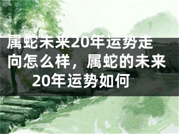 属蛇未来20年运势走向怎么样，属蛇的未来20年运势如何