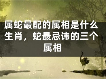 属蛇最配的属相是什么生肖，蛇最忌讳的三个属相