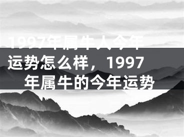 1997年属牛人今年运势怎么样，1997年属牛的今年运势
