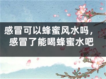 感冒可以蜂蜜风水吗，感冒了能喝蜂蜜水吧