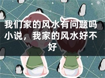 我们家的风水有问题吗小说,我家的风水好不好