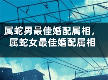 属蛇男最佳婚配属相,属蛇女最佳婚配属相