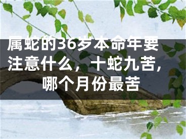 属蛇的36岁本命年要注意什么，十蛇九苦,哪个月份最苦