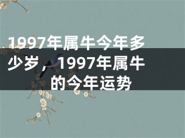 1997年属牛今年多少岁，1997年属牛的今年运势