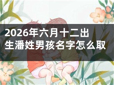 2026年六月十二出生潘姓男孩名字怎么取