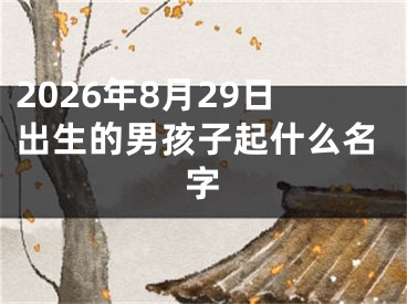 2026年8月29日出生的男孩子起什么名字