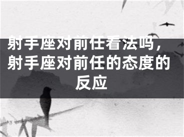 射手座对前任看法吗，射手座对前任的态度的反应