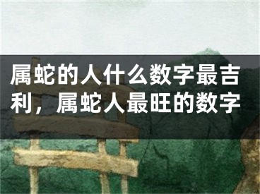 属蛇的人什么数字最吉利,属蛇人最旺的数字