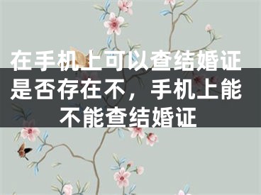 在手机上可以查结婚证是否存在不，手机上能不能查结婚证