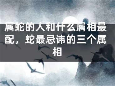 属蛇的人和什么属相最配,蛇最忌讳的三个属相
