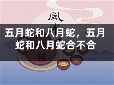 五月蛇和八月蛇，五月蛇和八月蛇合不合