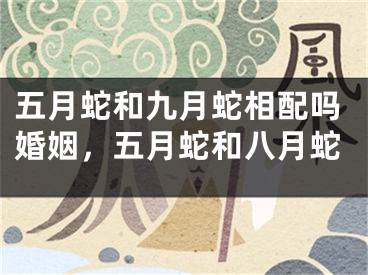 五月蛇和九月蛇相配吗婚姻，五月蛇和八月蛇