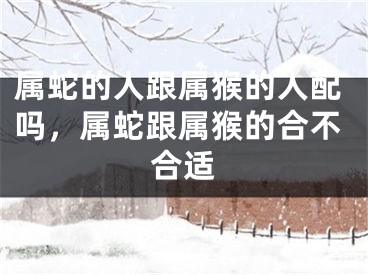 属蛇的人跟属猴的人配吗，属蛇跟属猴的合不合适