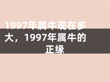1997年属牛现在多大，1997年属牛的正缘