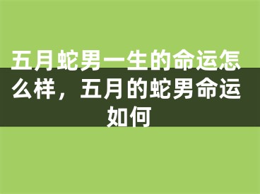 五月蛇男一生的命运怎么样,五月的蛇男命运如何