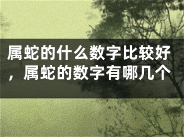 属蛇的什么数字比较好，属蛇的数字有哪几个