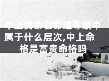 中上贵命在命理等级中属于什么层次,中上命格是富贵命格吗