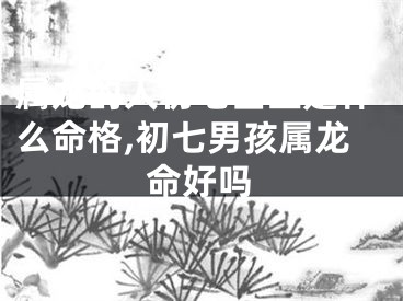 属龙的人初七出生是什么命格,初七男孩属龙命好吗