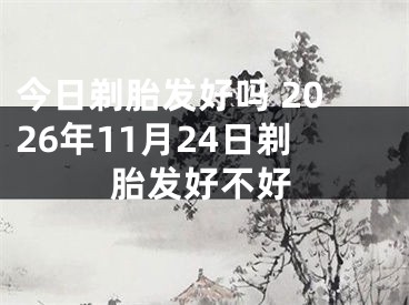 今日剃胎发好吗 2026年11月24日剃胎发好不好
