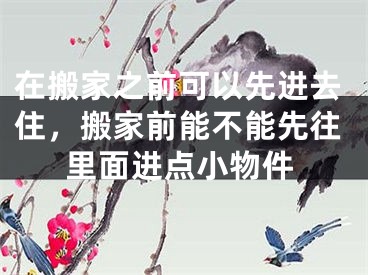 在搬家之前可以先进去住,搬家前能不能先往里面进点小物件