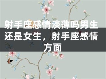射手座感情淡薄吗男生还是女生，射手座感情方面