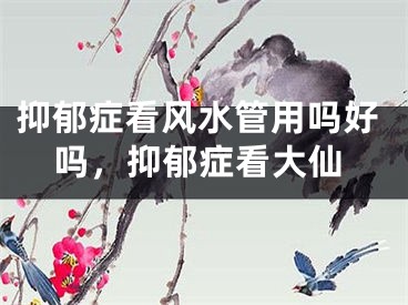 抑郁症看风水管用吗好吗，抑郁症看大仙