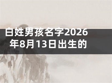 白姓男孩名字2026年8月13日出生的