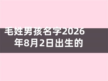 毛姓男孩名字2026年8月2日出生的