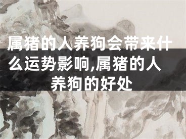 属猪的人养狗会带来什么运势影响,属猪的人养狗的好处