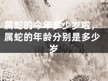 属蛇的今年多少岁啦,属蛇的年龄分别是多少岁