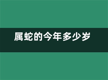 属蛇的今年多少岁