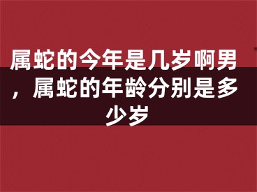 属蛇的今年是几岁啊男，属蛇的年龄分别是多少岁
