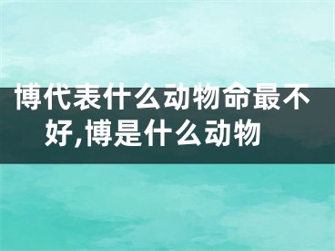 博代表什么动物命最不好,博是什么动物