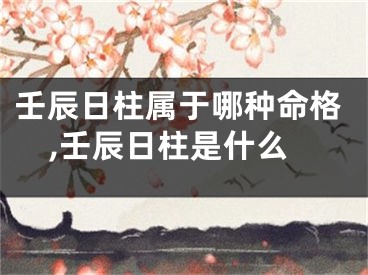 壬辰日柱属于哪种命格,壬辰日柱是什么