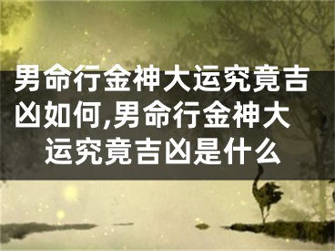 男命行金神大运究竟吉凶如何,男命行金神大运究竟吉凶是什么