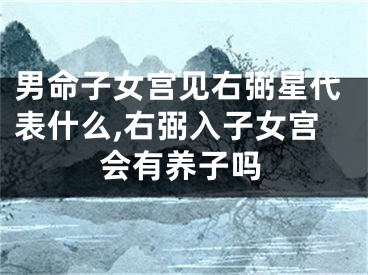 男命子女宫见右弼星代表什么,右弼入子女宫会有养子吗
