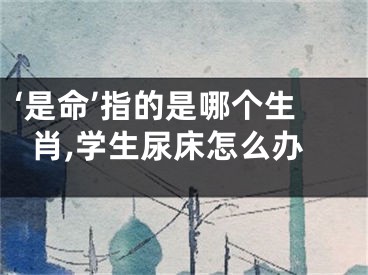 ‘是命’指的是哪个生肖,学生尿床怎么办